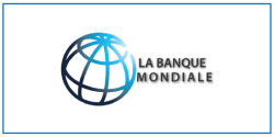 BM_Plan-de-travail-1-1-768x384